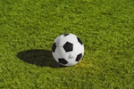 国际足球联合会FIFA官方标志